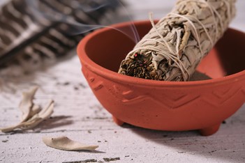 Lit sage in pot